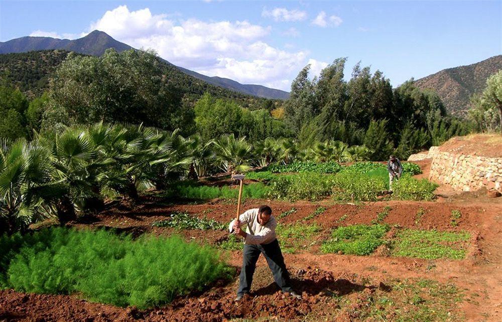Domaine Malika 호텔 Moulay Brahim 외부 사진